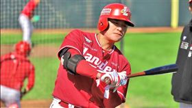 韓職SSG強打秋信守。（資料圖／取自韓職SSG登陸者官網）