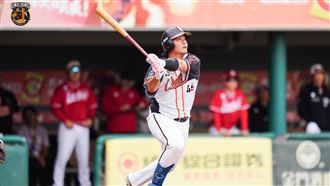 張聖豪3安猛打還開轟　獅熱身賽不敵SSG