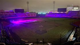 桃園棒球場,樂天桃猿,草皮,植物生長燈