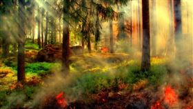 火災、森林大火、野火（示意圖／翻攝自Pixabay）