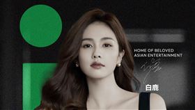 白鹿。（iQIYI提供