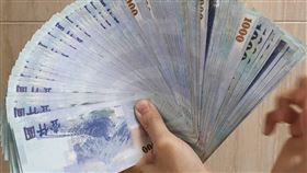 記者鍾志鵬攝影、翻攝自pixabay