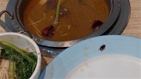 高雄火鍋店「蟑螂蔥花」吃下肚！人妻回家狂腹瀉　衛生局稽查結果驚人。爆料公社