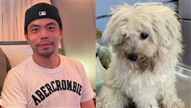 「桌球教父」撿到瑪爾濟斯！莊智淵曝4特徵協尋　網讚爆：又帥又有愛心。（圖／翻攝自「莊智淵 Chuang Chih-Yuan」臉書）