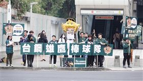 ▲台鋼雄鷹吉祥物TAKAO上街頭宣傳主場開幕戰。（圖／台鋼雄鷹球團提供）