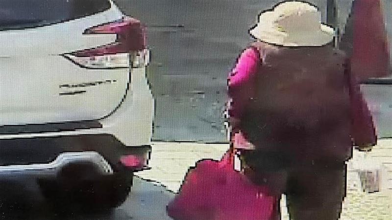 老婦拜拜失聯媽祖說在原地 8天後尋獲遺體