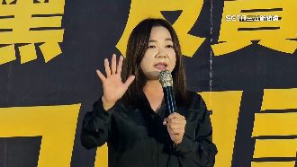 藍白合召委投馬文君　綠批兩黨讓國會沈淪