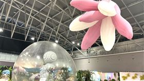 62國熱烈響應！蘭花界盛事臺南聯展　絕美「蘭花國旗牆」驚艷全場（業配勿用）