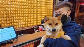 ▲飼主帶著寵物來點平安燈（圖／翻攝自八德三元宮粉絲專頁）