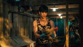 林柏宏在《莎莉》中在鄉下養雞。（圖／伯樂影業股份有限公司提供）