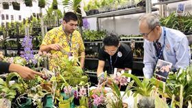 夢幻「光藝畫廊」映照12節氣！臺南蘭花雙聯展　限定文創小物搶翻（業配勿用）