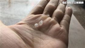 屏東,冰雹,潘孟安,下雨