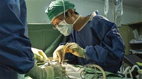 夏肇聰2次前往南蘇丹進行任務，身為醫院中唯一的外科醫師，每天都有需要治療的患者。（圖／MSF提供）