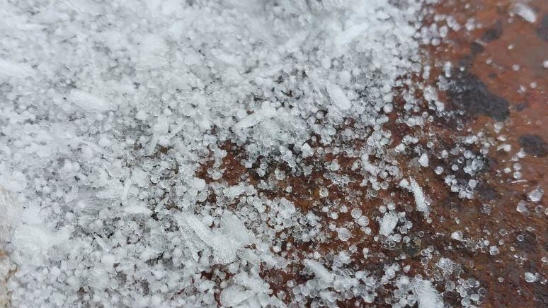 玉山降下冰珠　氣象署：白天有機會下雪