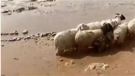 青海淹水（圖／翻攝自圈容嬤嬤微博）