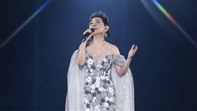 張清芳演唱會高雄場。（圖／上引娛樂提供）