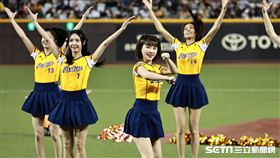 ▲讀賣巨人軍90週年紀念 台灣試合，PS女孩賽前表演。（圖／記者劉彥池攝影）