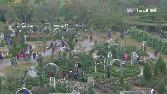 獨／日吸逾8千人　免費觀光工廠突休10天