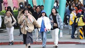 寒流天氣配圖（圖／記者鄭孟晃攝影）