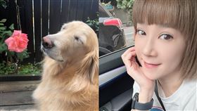 ▲陸元琪。（圖／翻攝自陸元琪臉書）