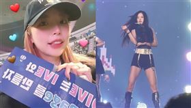 ▲一隻阿圓。（圖／翻攝自一隻阿圓IG）