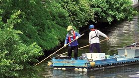 棄屍,破案,愛河,分屍
