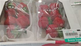 ▲「日本福岡草莓」農藥殘留超標。（圖／北市衛生局提供）