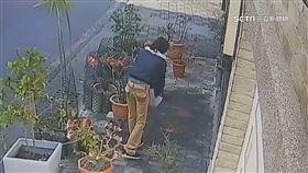 善心餵鳥釀髒亂　女遭貼告示「注意此人」