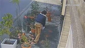 善心餵鳥釀髒亂　女遭貼告示「注意此人」