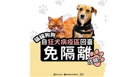 防檢署修正犬貓輸入檢疫條件　自狂犬病疫區入境犬貓可有條件免隔離檢疫（業配勿用）