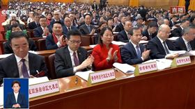 中國兩會「台灣省代表團」又來啦，你認識嗎？連陸網友都評：自嗨。（圖／翻攝自X平台）