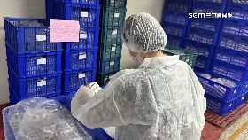 文 維力慘又中1800