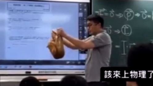 補教師「抓貓實驗」！網罵：可惡的飼主
