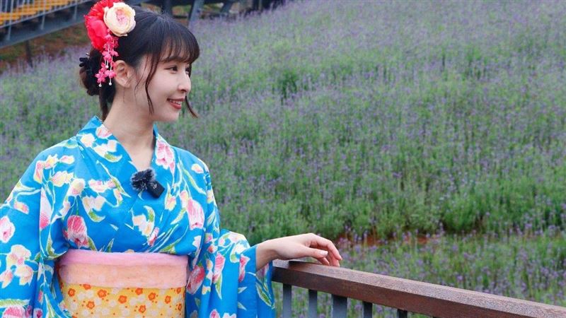 Aiko帶你一日遊　三層崎花海包套小旅行