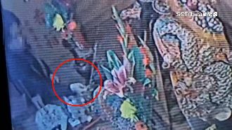 賊偷神像銀手鐲　三太子頻失竊廟方頭痛