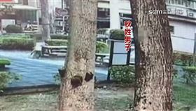 陌生男公園亂抱男童　新北院判「社維法免罰」