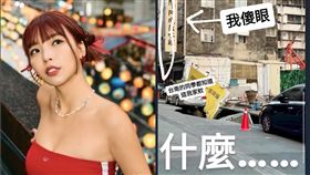 一隻阿圓（圖／翻攝自IG）