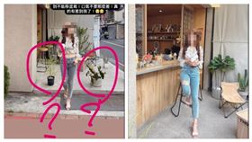 咖啡廳,公審,老闆,口氣,盆栽