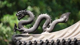 龍，龍年（示意圖／翻攝自pixabay）