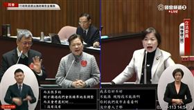 楊瓊瓔質詢陳建仁、王美花。(圖/翻攝自國會頻道YT)