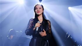 丁噹在高雄開演唱會。（圖／相信音樂提供）