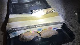 台南老宅打掃驚見手榴彈和子彈。（圖／翻攝畫面）