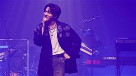 ▲KINO。（圖／星月文創提供）