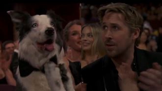 奧斯卡／搶了鋼鐵人焦點！毛孩鼓掌影片曝