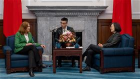 蔡英文總統今（11）日接見由德國馬歇爾基金會印太計畫主任葛來儀所效率領的「華府學者代表團」。（圖／總統府提供)