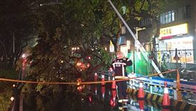 北市大樹倒塌。（圖／翻攝畫面）