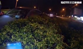 灌木叢,酒駕(圖/翻攝畫面)