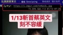日前有網友在批踢踢實業坊八卦版內PO圖留言「0113斬首蔡英文刻不容緩」，刑事局獲報循線找到涉案的鄧姓男子，鄧男辯稱「只是抒發心情，沒有真的要恐嚇或是殺蔡英文」，警訊後已依恐嚇危害安全罪函送法辦。
