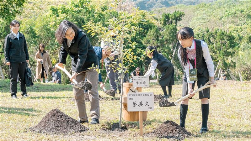 植樹節　蔡英文赴政大種下青剛櫟