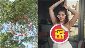 百萬網紅克蘿蕾指稱自己於家中浴室遭一架無人機偷拍。（圖／翻攝自kerolaychavesreal IG）